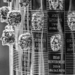 trofeo indy 500